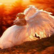 belanalyse kaartlegster MALUBE ANGEL